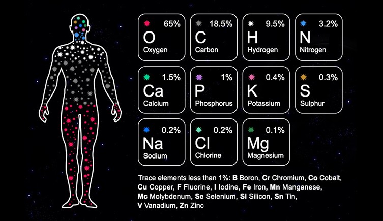 Human body elements